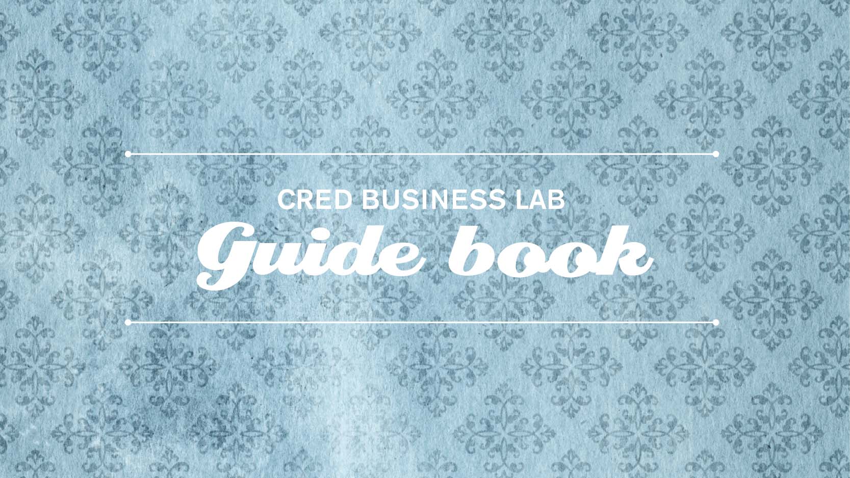 Business lab guide book omslagsbild.