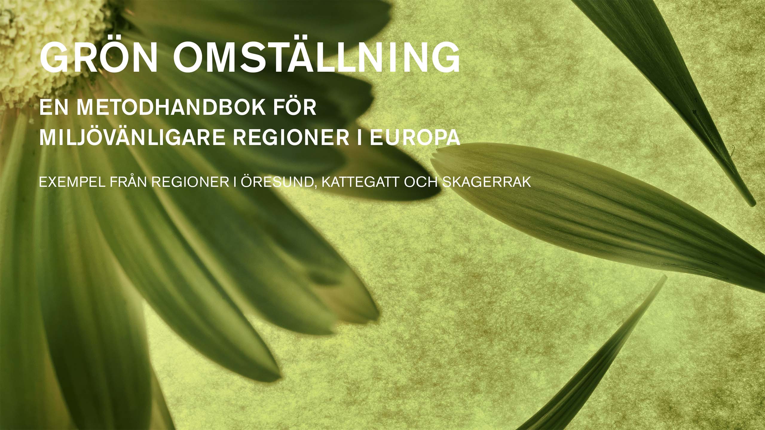 Grön omställning: En metodhandbok för miljövänligare regioner i Europa omslagsbild.