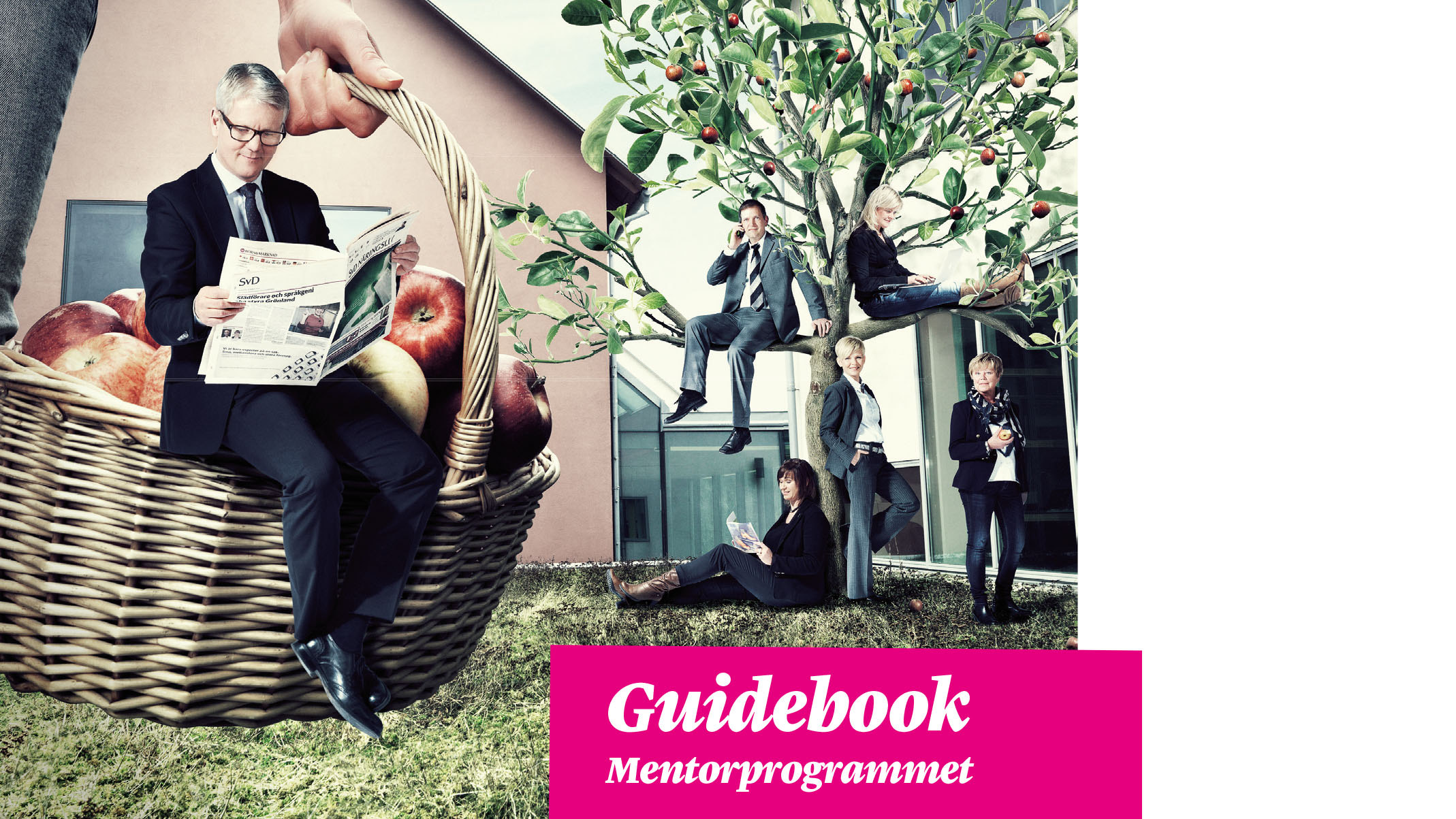 Mentorsprogrammet guidebook omslagsbild.